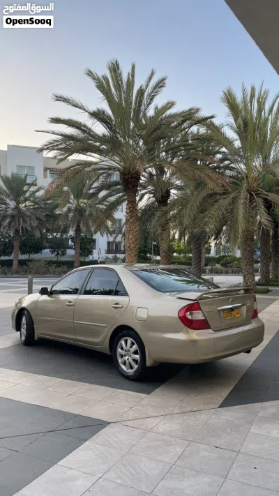 Toyota Camry XLE 2