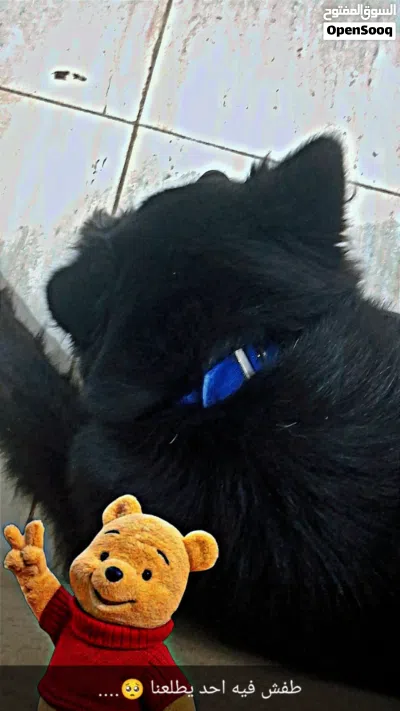 undefined 2