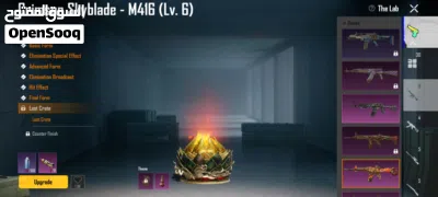Pubg Acount with Max guns 2