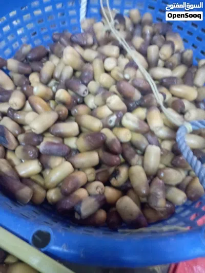 للبيع رطب وفاكهة القاو 2