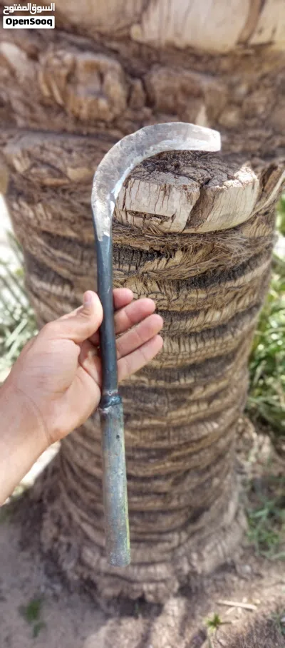 منجل تمر صنع يدوي متين 2