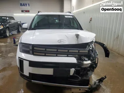 Hyundai Santa Fe SEL Premium 3