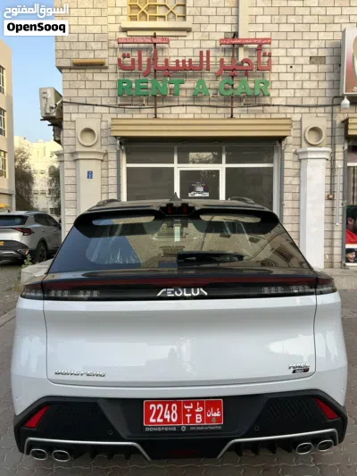 Dongfeng Mage EV 2