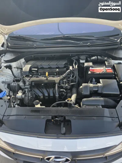 Hyundai Avante Limited 3