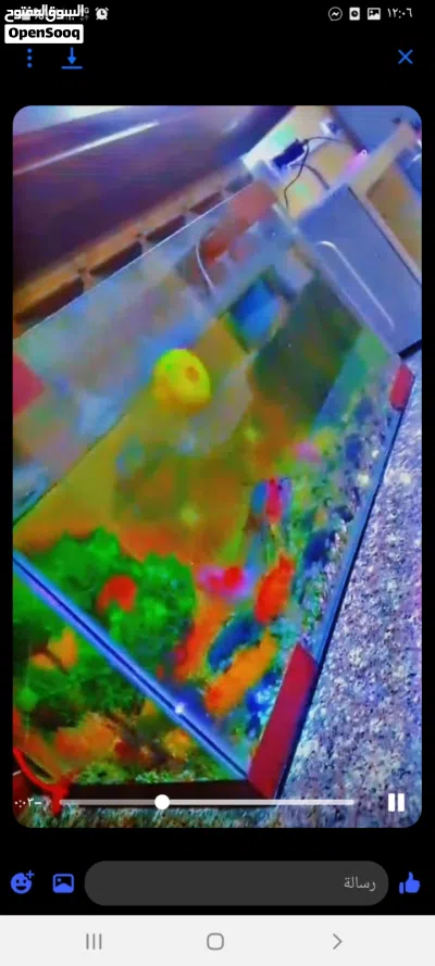 حوض سمك للبيع 2