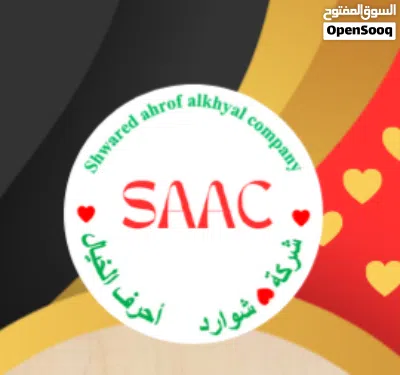 ركشة وتكتوك 2