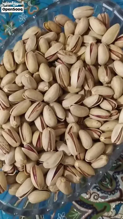 فستق اکبری 4