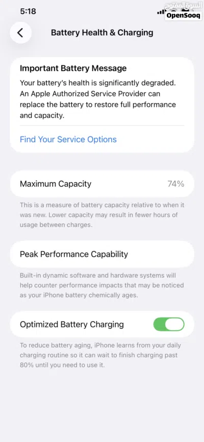 11 pro max 2