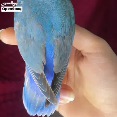 undefined 3