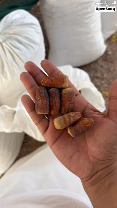 تمر نغال في جواني 2