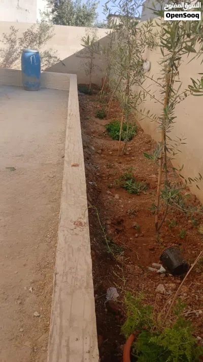 منزل للبيع في ابونصير القريه شارع واسع بنا جديد منطقه مخدومه 4