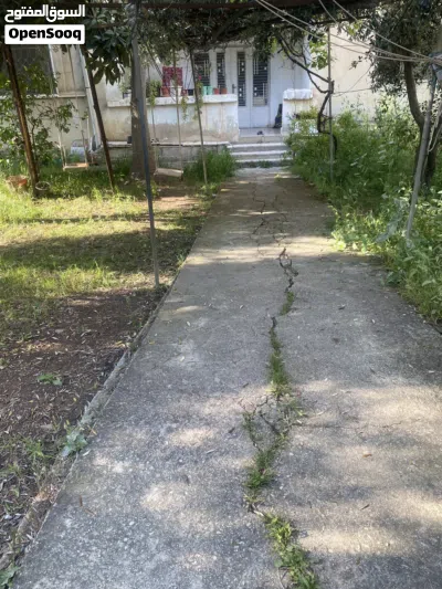 undefined 3