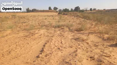 1500 متر للبيع في منطقه الجنين وادي الربيع 3
