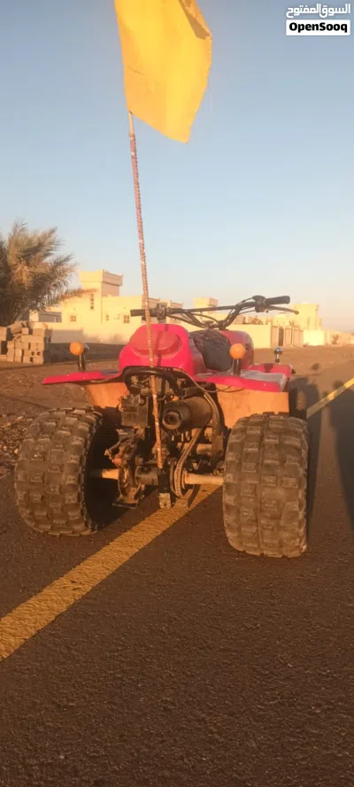 Buggy All Models 2