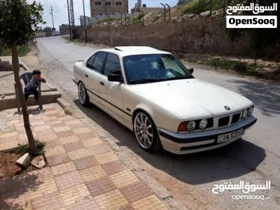 كعكات اصليات 3