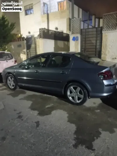 Peugeot 407 SW 4