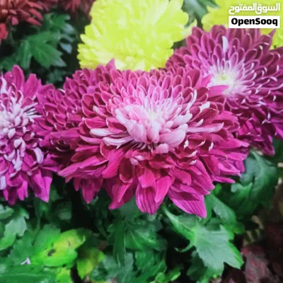 undefined 2