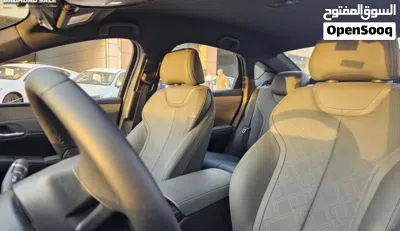 BYD Qin 2