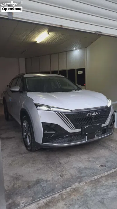 دونج فينج ميج EV 2