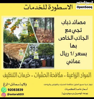الذباب - الحشرات - البعوض - الصراصير 4