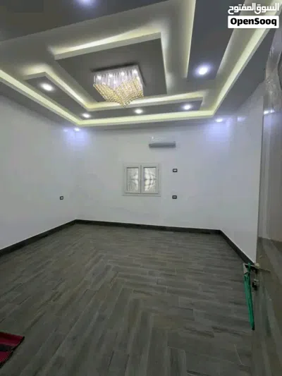 شقه الايجار 3
