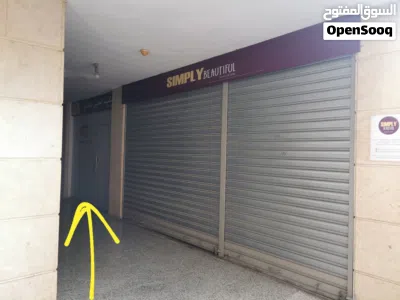undefined 3