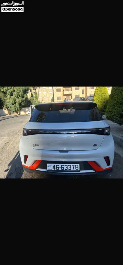 BYD Dolphin 4