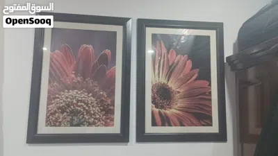 Display Frames 2