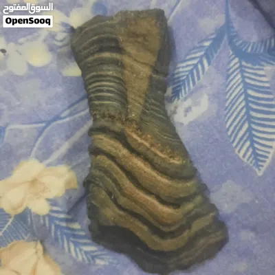 undefined 3