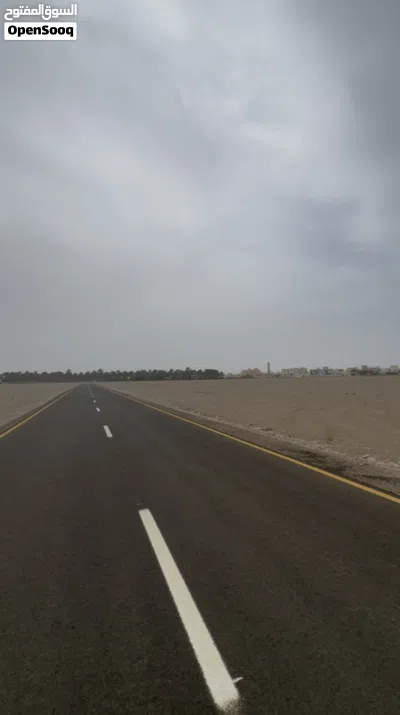 أرض زراعية في بركاء الصومحان الجنوبية، موقع ممتاز و استراتيجي و أرض خصبة وعلى الشارع السريع. 3