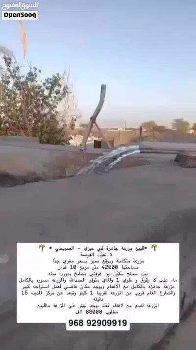 مزرعه متكامله بها ماء عذب وجاهزه ومسوره 2