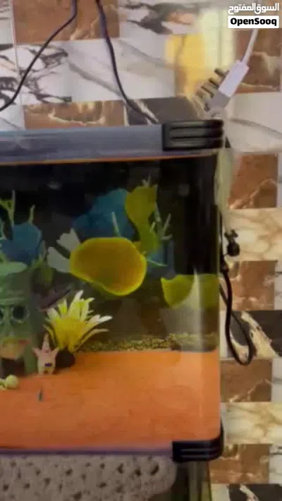 حوض اسماك للبيع 2
