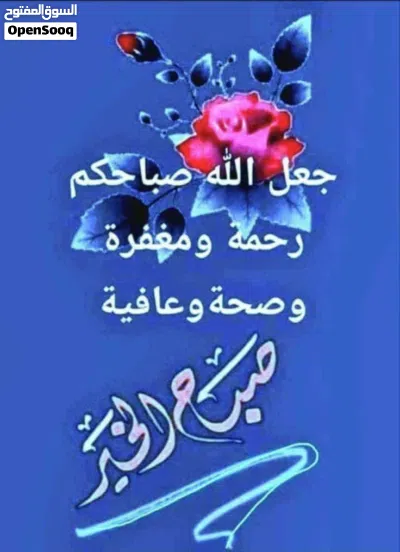 فيلا البيع سعرها كويس 3دوار 2