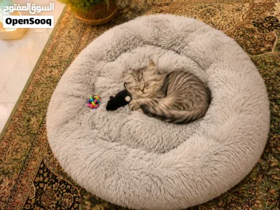 undefined 2