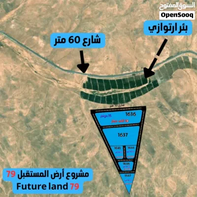 استثمر اليوم ابتداء من 2750 دينار لكامل القطعه بالقرب من شارع الستين جنوب عمان 2