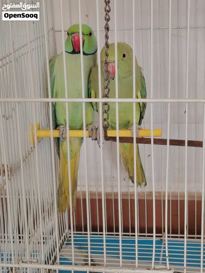 undefined 2