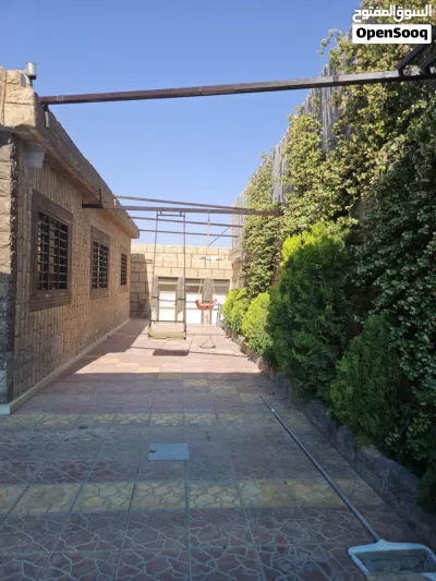 مزرعة للايجار 4