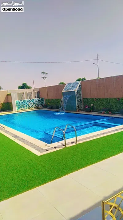 مزرعه تحت جسر المطار الملكه علياء 3