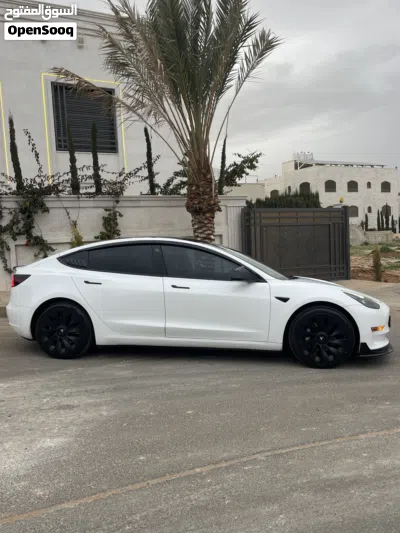 تيسلا موديل 3 Standard Plus 4