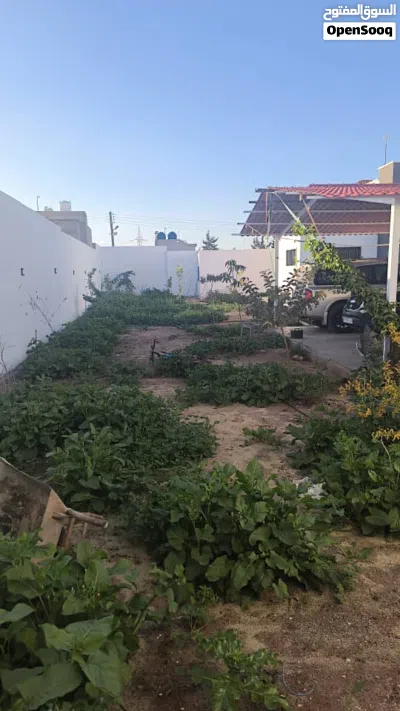متوفر لدينا ايجار غرف للعمال في الليتي ولاي استفسار 3