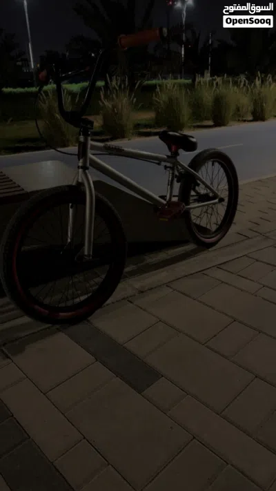 Dk raven Bmx everything is in good condition 2