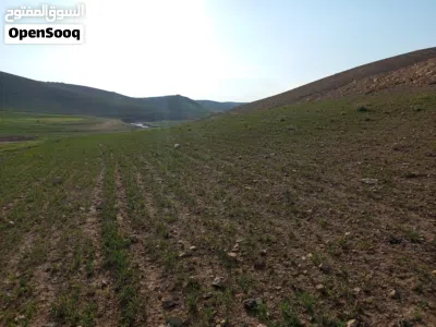 مزرعة للبيع الرميل جنوب عمان تبعد عن جسر المطار 17 كيلو به بيت ريفي 120 متر وبركس واصل خدمات 4