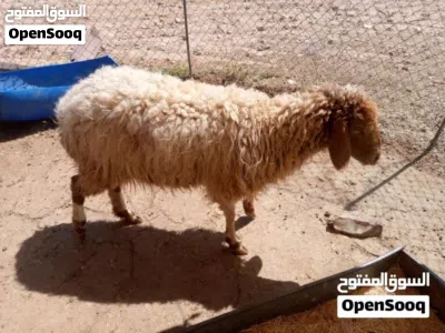 undefined 2