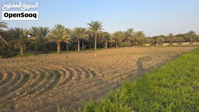 قطعه ارض زراعيه للبيع 4