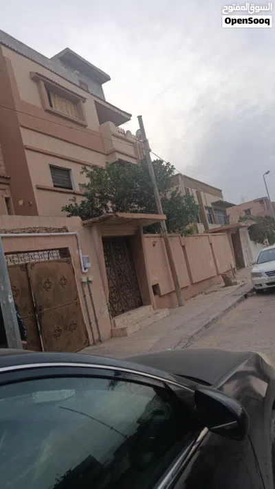 فيل للبيع 2,300,000 3