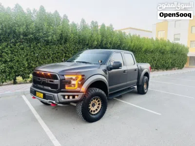 Ford F-150 Raptor 3