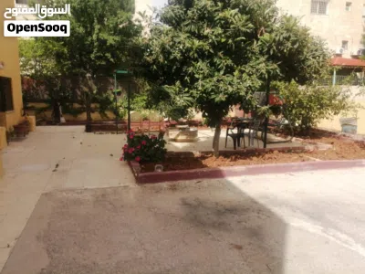 undefined 3