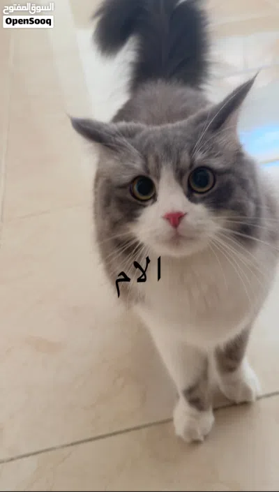 undefined 2