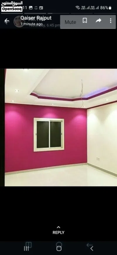 Paints -Gypsum Bord-BroFile 20yer working DAMMAM 2
