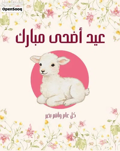 محمود محمود 3